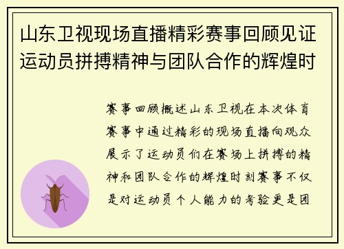 山东卫视现场直播精彩赛事回顾见证运动员拼搏精神与团队合作的辉煌时刻